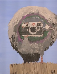 birds eye view  pigeon with leica by wizardsof12 defuxzw