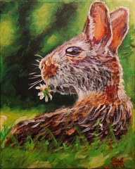 bunny chilling  8x10 acrylic on canvas