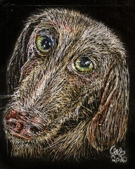 crooked nosed dog  4x5 scratchboard  by wizardsof12 ddvumey