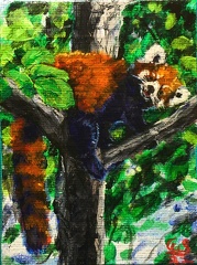red panda in tree  3x4 inch acrylic on canvas