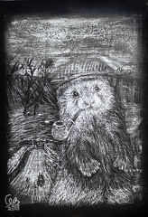 the yorkshire ferret  scratchboard  nat  contrast  by wizardsof12 dcna60y-fullview