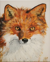 9-26-21 Red Fox