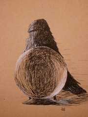 birds eye view  dip pen by wizardsof12 dfr3vfi-fullview