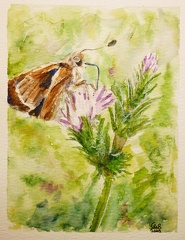 butterfly on thistle  4x5 watercolor by wizardsof12 dfyb3mq-fullview